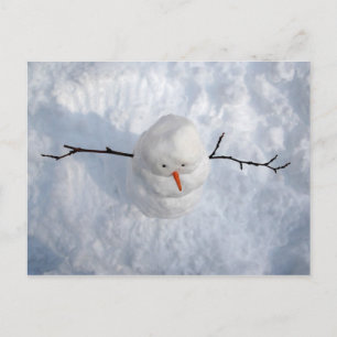 Carte Postale Quelle Vie Merveilleuse