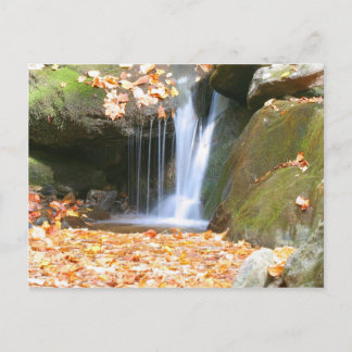 Carte Postale Quelque chose de différent