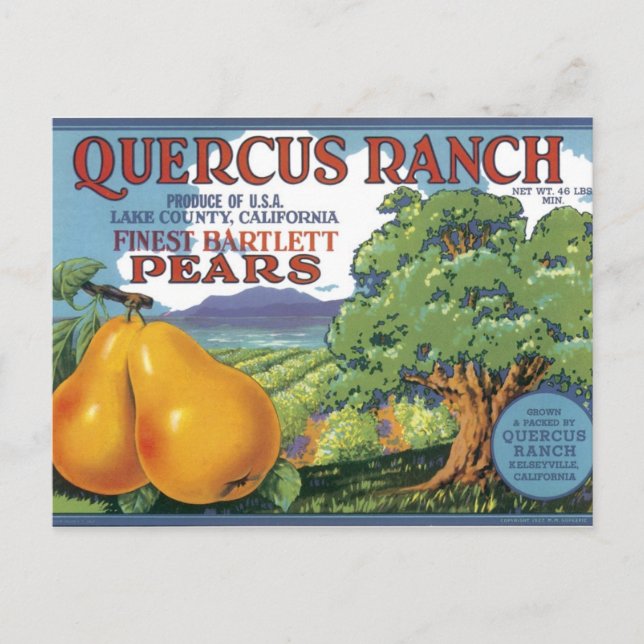 Carte Postale Quercus Ranch Bartlett Pears (Devant)