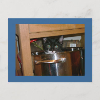 Carte Postale Qu'est-ce que Cookin ?