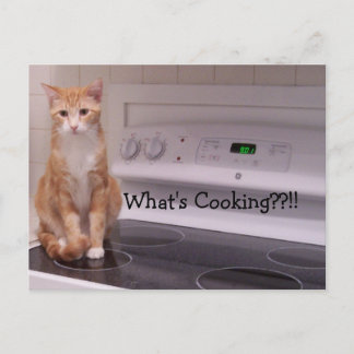 Carte Postale Qu'est-ce que la Cuisine ? ? ! !
