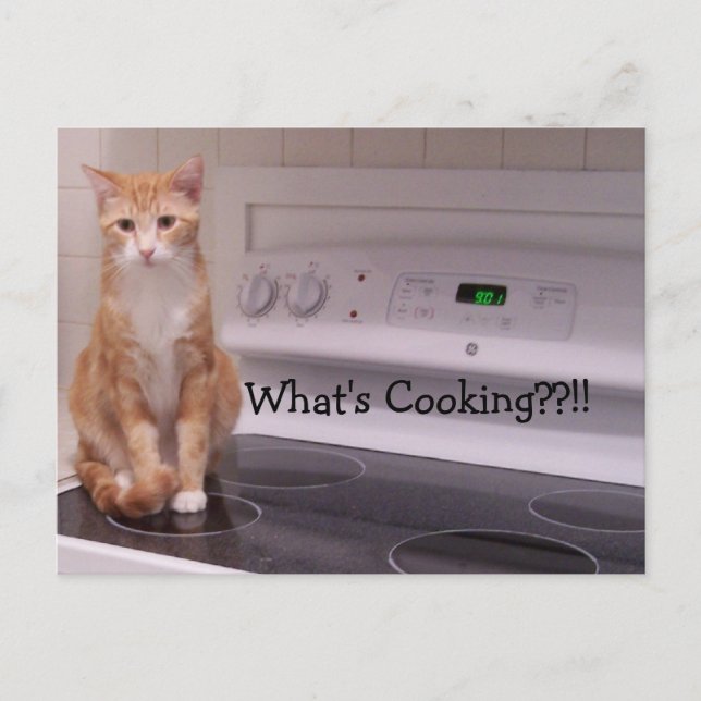 Carte Postale Qu'est-ce que la Cuisine ? ? ! ! (Devant)
