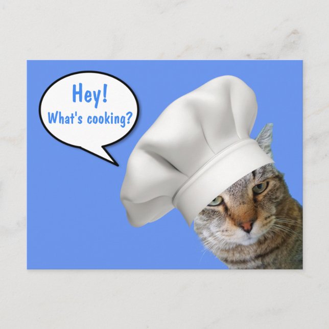 Carte Postale Qu'est-ce que la Cuisine ? Chef Cat (Devant)