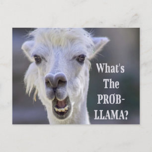 Carte Postale Qu'est-ce que le Prob-Llama ? Jote Drôle LLAMA