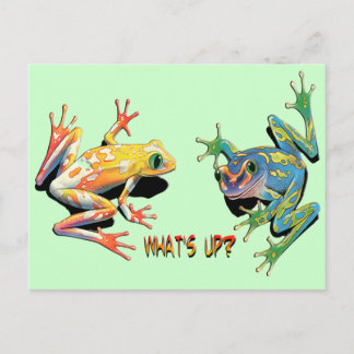 Carte Postale Qu'est-ce que les grenouilles