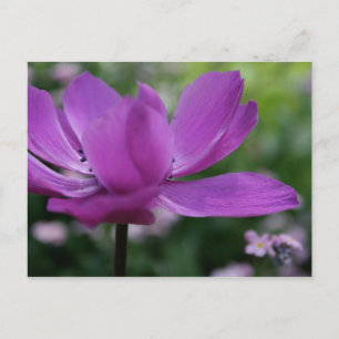 Carte Postale Qu'est-ce que tu caches ?