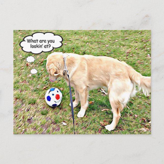 Carte Postale Qu'est-ce que tu regardes au visage d'or ? (Devant)