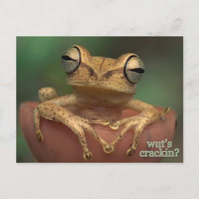 Carte Postale qu'est-ce qui craque ? (Devant)