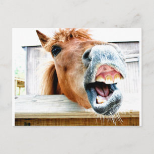 Carte Postale Qu'est-ce qui est si drôle ?