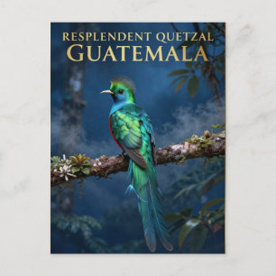 Carte Postale 🐦 Quetzal resplendissant forêt nuageuse du Guatem