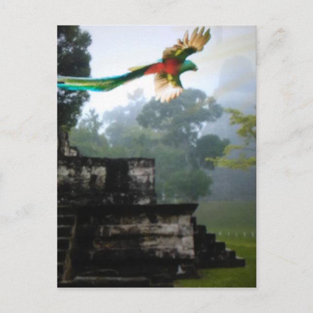Carte Postale Quetzel à Tikal (Devant)