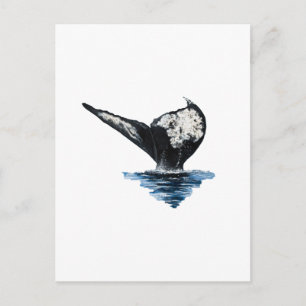 Carte Postale Queue de baleine