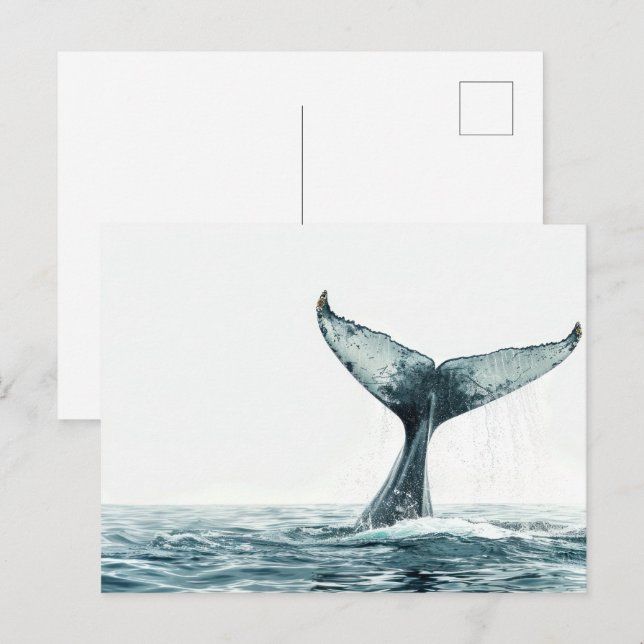 Carte Postale Queue de baleine sortant de l'océan  Petit (Devant / Derrière)