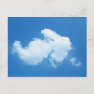 Carte Postale Queue de coton