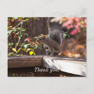 Carte Postale Qui est là Merci