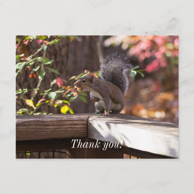 Carte Postale Qui est là Merci (Devant)