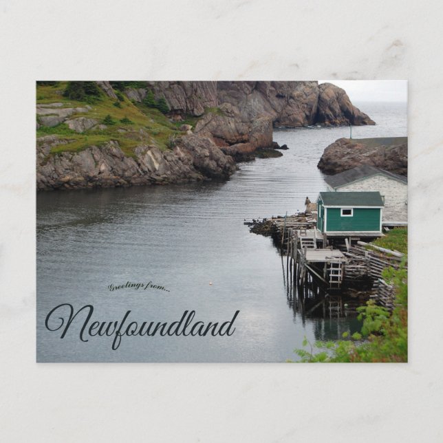 Carte Postale Quidi Vidi Terre-Neuve Canada (Devant)
