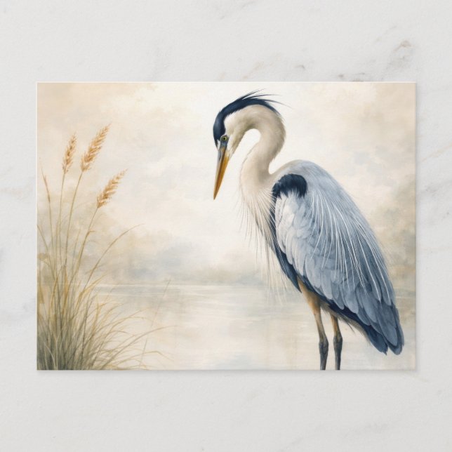 Carte Postale Quiet Marsh Heron | Blue Heron | Postcard (Devant)