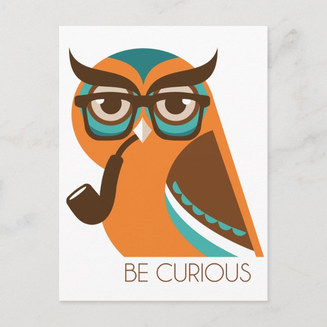 Carte Postale Quizik Owl (Devant)