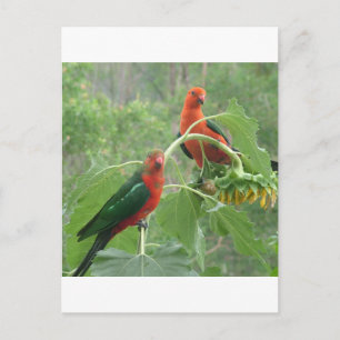 Carte Postale Quoi ?