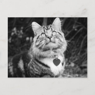 Carte Postale Quoi de neuf là-haut