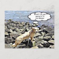 Quoi ? Je vais juste saluer le homard