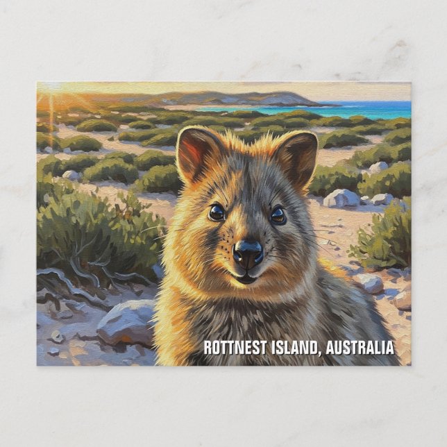 Carte Postale Quokka dans Rottnest Island Australie (Devant)