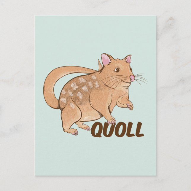 Carte Postale Quoll Australian Marsupial (Devant)