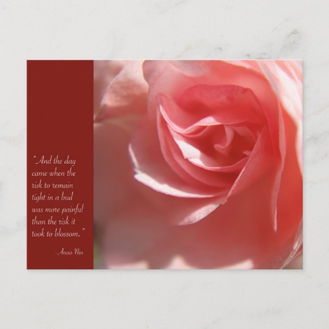 Carte postale Quote Anais Nin en rose (Devant)