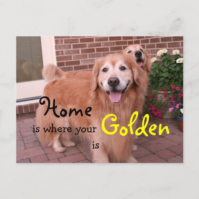 Carte Postale Quote de maison Golden Retriever (Devant)