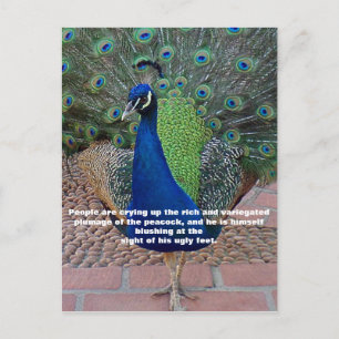 Carte postale Quote Peacock
