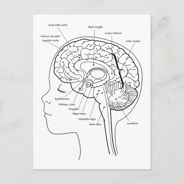Carte Postale Qu'y a-t-il dans votre cerveau (Devant)