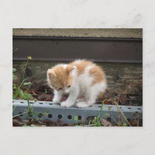 Carte Postale "Qu'y a-t-il là-bas ?"