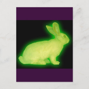 CARTE POSTALE RABBIT DE RADIATION