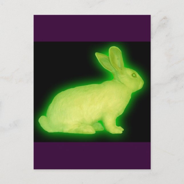 CARTE POSTALE RABBIT DE RADIATION (Devant)