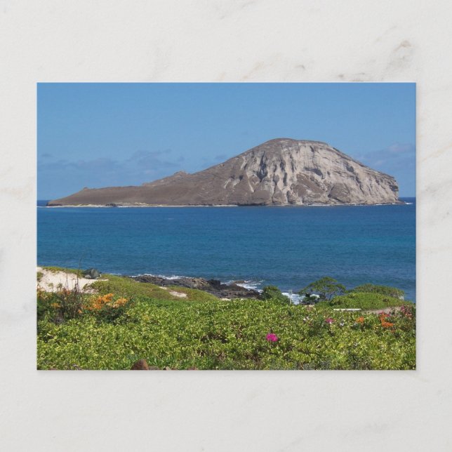 Carte Postale Rabbit Island Oahu Hawaii (Devant)