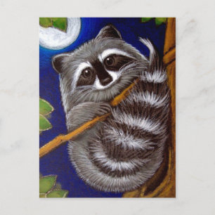 Carte postale RACCOON
