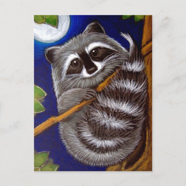 Carte postale RACCOON (Devant)