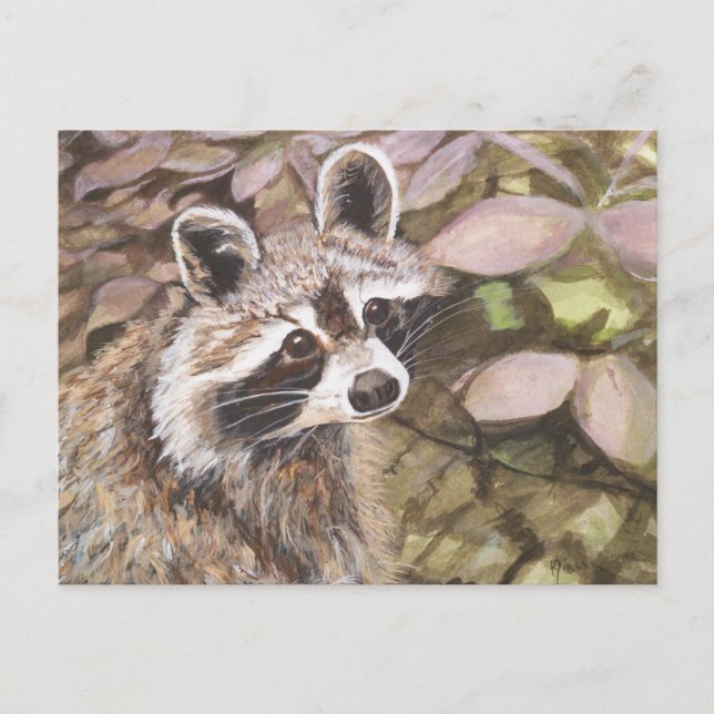 Carte postale Raccoon (Devant)