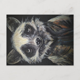 Carte postale Raccoon