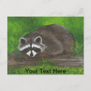 Carte Postale Raccoon