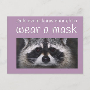 Carte Postale Raccoon Covid demande le Masque par Funnycomb