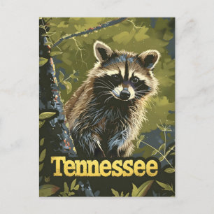 Carte Postale Raccoon du Tennessee