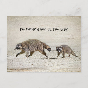 Carte Postale Raccoon mère et bébé