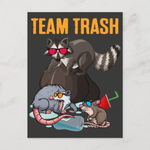 Carte Postale Raccoon Rat Trash Panda poubelle Humour animal