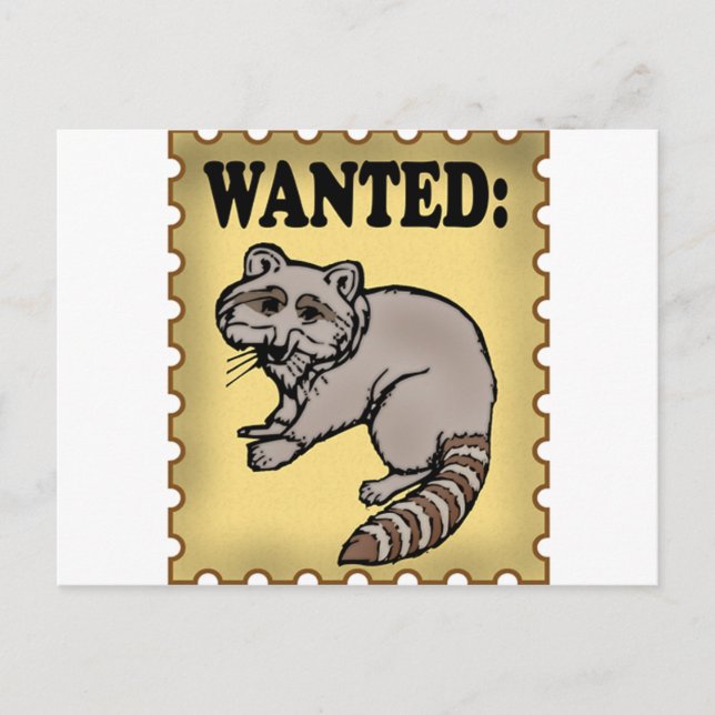 Carte Postale Raccoon Recherché (Devant)