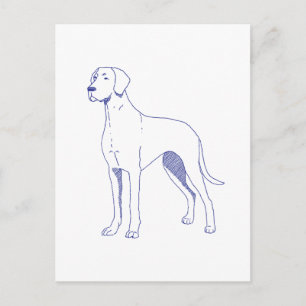 Carte Postale Race de chien Dogue allemand