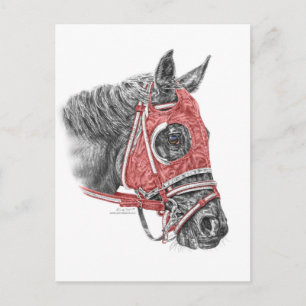 Carte Postale Race Horse Portrait Soies
