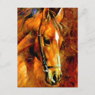 Carte Postale race pure