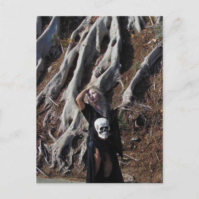 Carte postale Racines amplifiées (Devant)